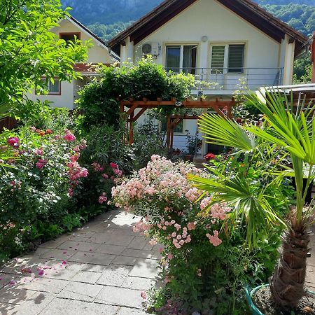 Pension Eden Baile Herculane Bagian luar foto