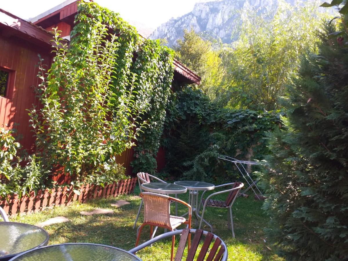 Pension Eden Baile Herculane Bagian luar foto