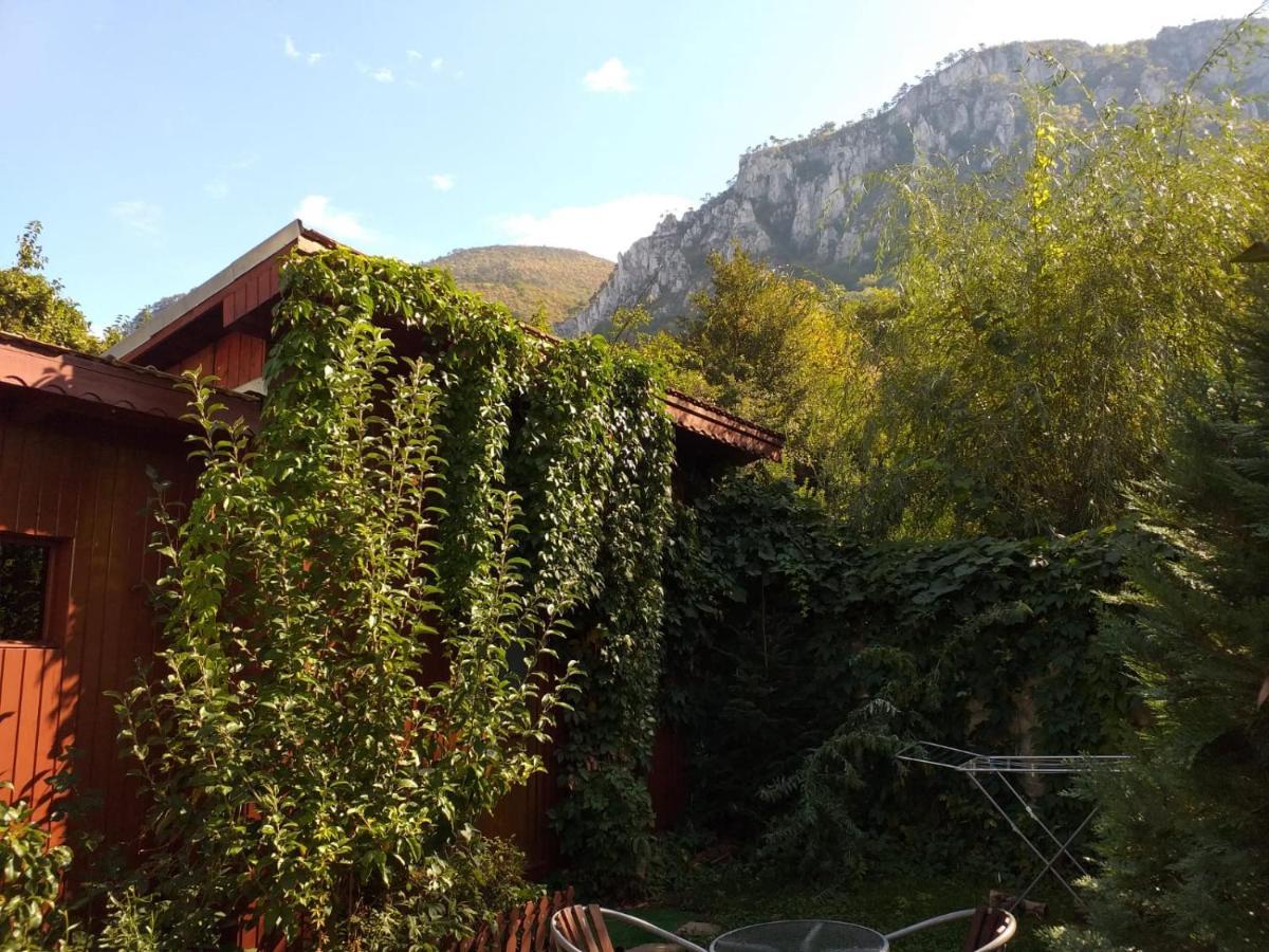 Pension Eden Baile Herculane Bagian luar foto