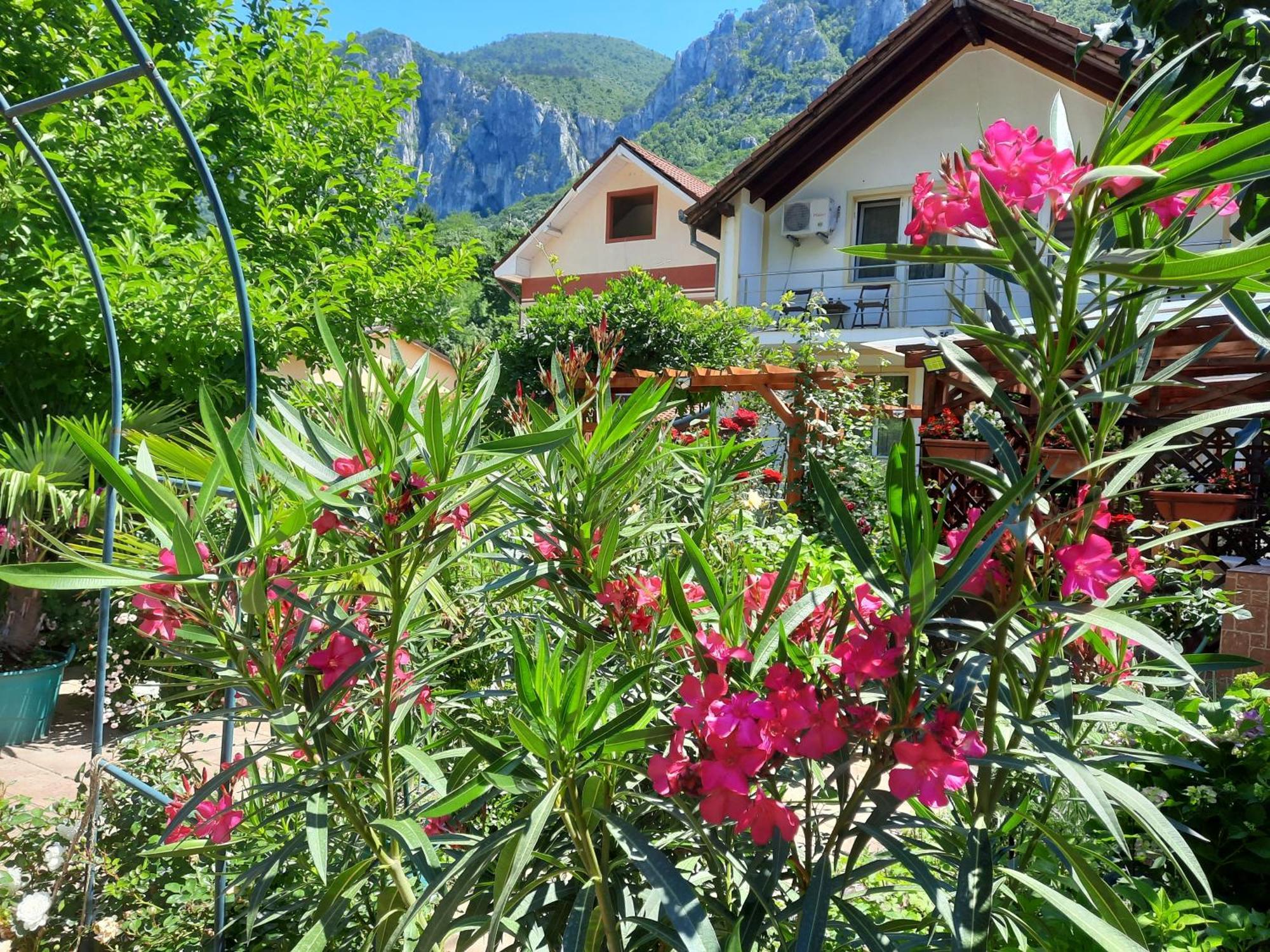 Pension Eden Baile Herculane Bagian luar foto