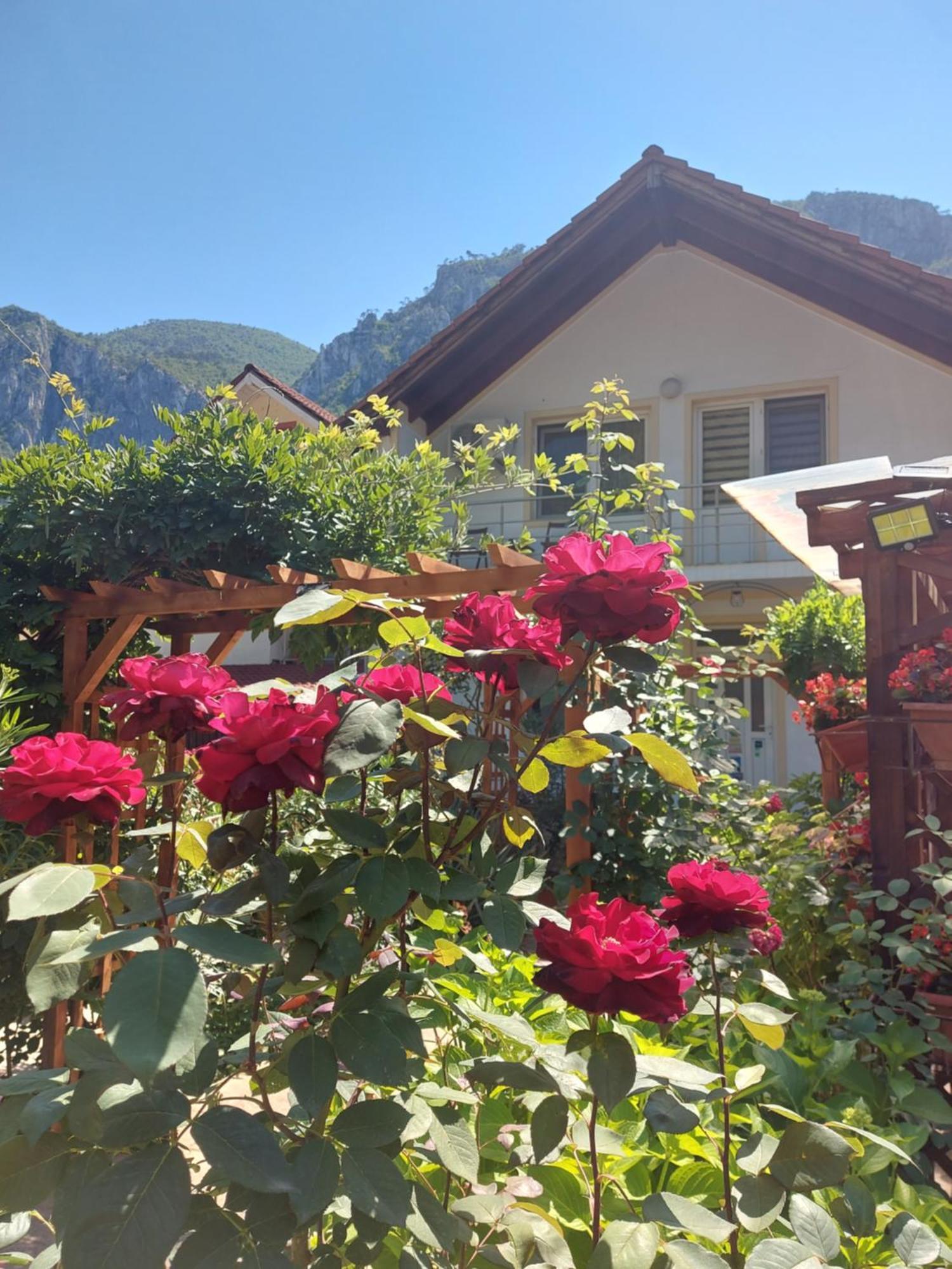 Pension Eden Baile Herculane Bagian luar foto