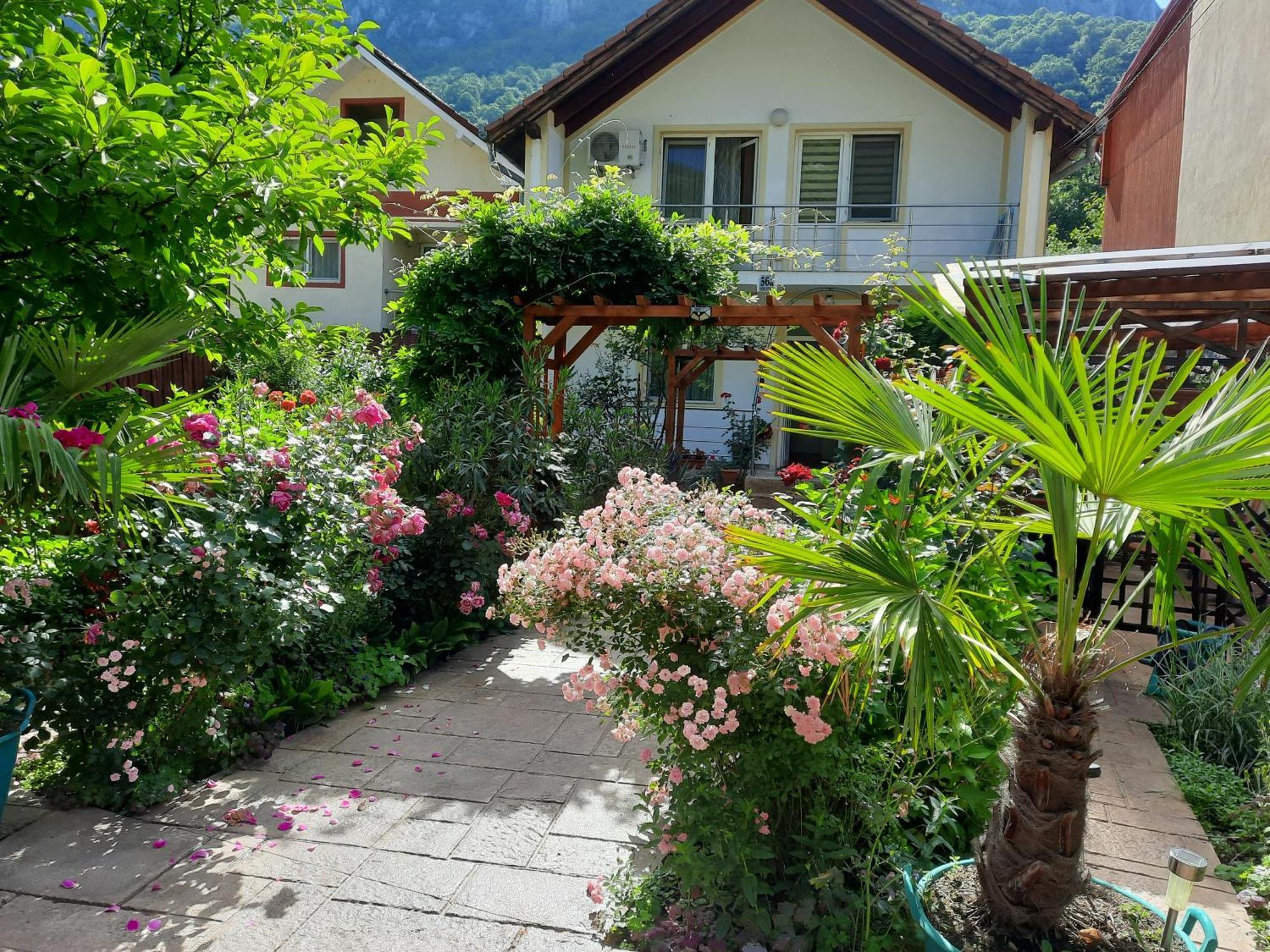 Pension Eden Baile Herculane Bagian luar foto