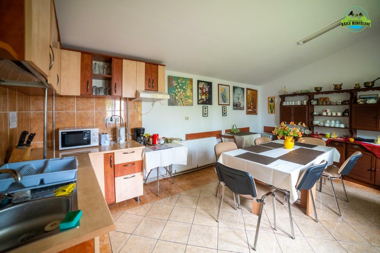 Pension Eden Baile Herculane Bagian luar foto